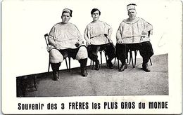 SPECTACLE - CIRQUE Et Phénomènes -- Souvenir Des 3 Frères Les Plus Gros Du Monde - Zirkus