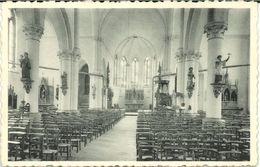 EERNEGEM : Sint Medarduskerk : Binnenzicht - Ichtegem