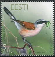 Estonia 2010  Correo Yvert Nº  618 ** Fauna. Pájaro - Estland