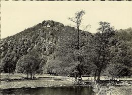 CP  De MARCOURT-sur-Ourthe " L'Ourthe Et La Montagne St-Hubert " - Rendeux