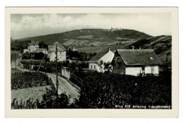 Ref 1377  - Early Real Photo Postcard - Grinzing Schreiberweg Wien Austria - Grinzing