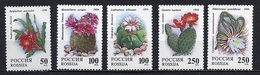 Russie - Russia - Russland 1994 Y&T N°6052 à 6056 - Michel N°364 à 368 *** - Cactées - Unused Stamps