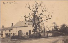 Tintigny Rossignol L'Orme Ancien Arbre - Tintigny