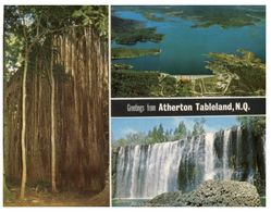 (A 70 Australia - QLLD - Atherthon Tableland Curtain Fig Tree + 2 Views - Mackay / Whitsundays