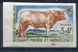 Saint-Pierre Et Miquelon       375  * Non Dentelé  Un Pli Angle Haut - Unused Stamps