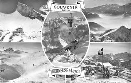 Souvenir De La Berneuse Leysin - Leysin