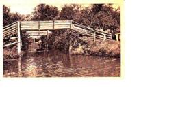 Giethoorn Brug S1194 - Giethoorn