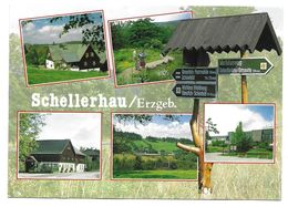 8238  SCHELLERAU (Kr. DIPPOLDISWALDE) - MEHRBILD  1993 - Schellerhau