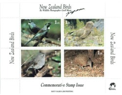 New Zealand Commemorative Stamp Issue 1993 Birds 1 M/S MUH - Blocchi & Foglietti