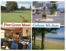 (A 15) Australia - SA - Pine Grove Motel & Golf Course - Otros & Sin Clasificación