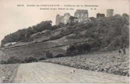 Cpa  Chevreuse,   Chateau De La Madeleine. - Chevreuse