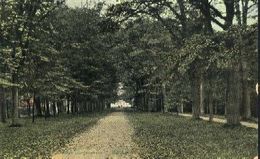 Nederland Holland Pays Bas Baarn Mooi En Oud 1916 - Baarn