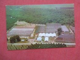 Hogshead's Nurseries & Greenhouses  Plymouth   Florida     Ref 4180 - Ocala