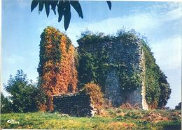 (65) LABARTHE DE NESTE (Htes-Pyr) Ruines Du Château - La Barthe De Neste