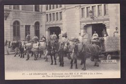 CPA Marne 51 Reims Publicité Publicitaire Non Circulé Champagne Mumm - Reims