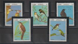 Cuba 1977 Oiseaux 1987-91 5 Val ** MNH - Unused Stamps