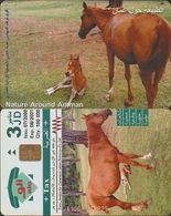 128/ Jordan; Horses - Jordania