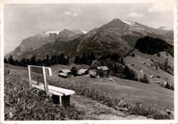 "Flüeli", Valzeina Pr. 1260 M ü. M. Mit Falknis Und Vilan * 13. 9. 1954 - Valzeina