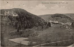 CPA ALLEMAGNE TODTMOOS Sanatorium Wehrawald Et Vue Sur La Ville  1914 - Todtmoos