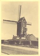 Repro PK - Wevelgem - De Oude Abdijmolen - Wevelgem