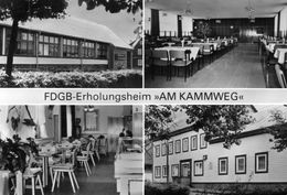 DC67 - Neustadt Am Rennsteig Kr. Ilmenau FDGB Erholungsheim Gaststätte Zum Goldenen Frosch - Altri