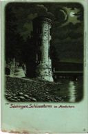 CPA AK Bad Sackingen - Schlossturm Im Mondschein GERMANY (969879) - Bad Saeckingen