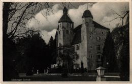 CPA AK Bad Sackingen - Sackinger Schloss GERMANY (969902) - Bad Saeckingen
