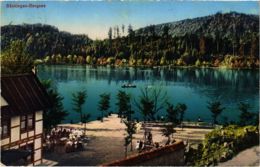 CPA AK Bad Sackingen - Sackingen-Bergsee GERMANY (969910) - Bad Saeckingen