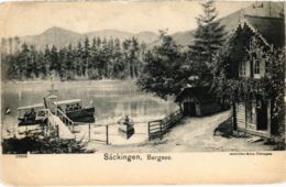 CPA AK Bad Sackingen - Bergsee GERMANY (969911) - Bad Saeckingen