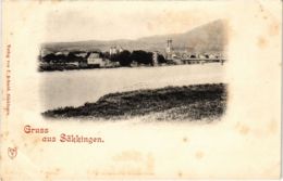 CPA AK Bad Sackingen - Totalansicht GERMANY (969920) - Bad Saeckingen