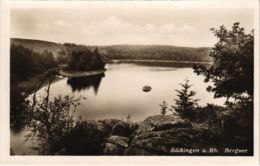 CPA AK Bad Sackingen - Bergsee - Seepartie GERMANY (969928) - Bad Saeckingen