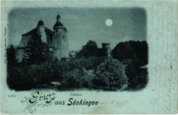 CPA AK Bad Sackingen - Schloss GERMANY (969929) - Bad Saeckingen