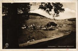 CPA AK Todtnauberg - Panorama GERMANY (969989) - Todtnau