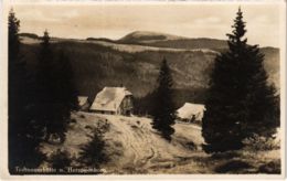 CPA AK Todtnauerhutte U. Herzogenhorn GERMANY (969991) - Todtnau