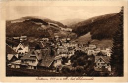 CPA AK Todtmoos - Totalansicht GERMANY (1030020) - Todtmoos