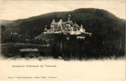 CPA AK Todtmoos - Sanatorium Wehrawald Bei Todtmoos GERMANY (1030027) - Todtmoos