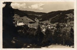 CPA AK Todtmoos - Todtmoos Von Westen GERMANY (1030028) - Todtmoos