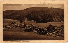 CPA AK Todtmoos - Panorama GERMANY (1030029) - Todtmoos