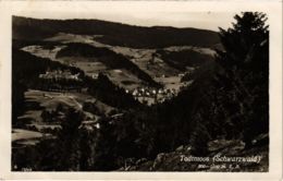 CPA AK Todtmoos - Panorama GERMANY (1030038) - Todtmoos