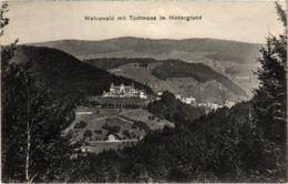 CPA AK Todtmoos - Wehrawald Mit Todtmoos Im Hintergrung GERMANY (1030045) - Todtmoos