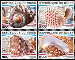 Niger. 2020 Shells. (0110c) OFFICIAL ISSUE - Coneshells