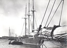 Photo Andrieux St Pierre Et Miquelon Bateaux Format 13/18 - Barcos