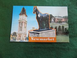 VINTAGE UK ENGLAND: CAMBRIDGESHIRE Newmarket Multiview With Horse Colour Colourmaster - Other & Unclassified