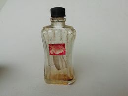 Flacon De Parfum Ancien De Collection Cuir De Russie, Parfumerie Violet - Flakons (leer)