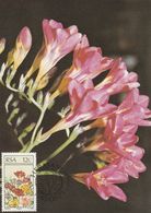 Republic Of South Africa 1985 Flowers Maxicard - Briefe U. Dokumente