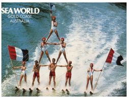 (A 23) Australia - QLD - Gold Coast Sea World Water Ski - Gold Coast