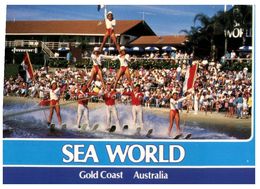 (A 23) Australia - QLD - Gold Coast Sea World Water Ski In Arena - Gold Coast