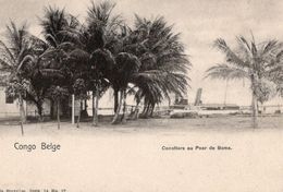 CPA NELS - CONGO BELGE - BOMA - COCOTIER AU PEAR  - NEUVE - NON CIRCULEE. - Congo Belge