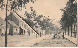 Niel, Rue Du Rupel , 2 Scans, - Niel