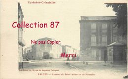 66 ☺♦♦ SALSES < AVENUES De St LAURENT Et De RIVESALTES - Edition BRUN - Salses